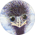 Remko profile picture